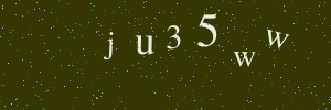 Validation image